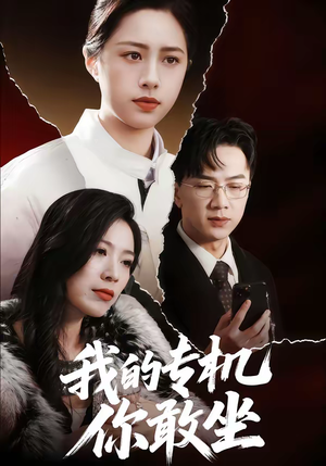 我的专机你敢坐（62集）口碑爆棚免费看