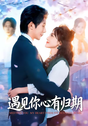 遇见你心有归期（81集）好看到停不下来