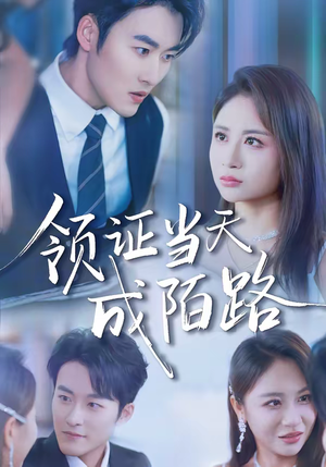 领证当天成陌路（39集）全集在线看