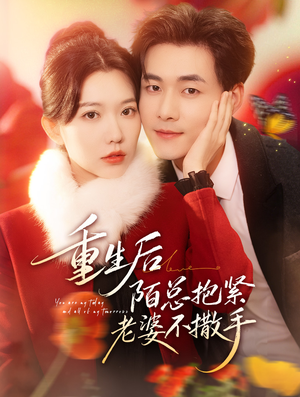 重生后陌总抱紧老婆不撒手（66集）火爆短剧热播中