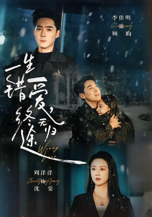 一生错爱，终无归途（74集）热门短剧追不停