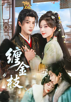 缠金枝（69集）抢先看新短剧