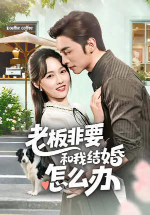老板非要和我结婚怎么办（50集）夸克在线观看