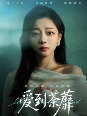 爱到荼蘼（63集）评价怎么样