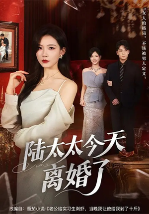 陆太太今天离婚了（59集）大结局一气呵成