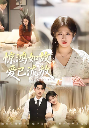 惊鸿如故，爱已流放（81集）免费版