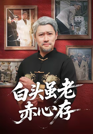 白头虽老赤心存（71集）红果免费看短剧