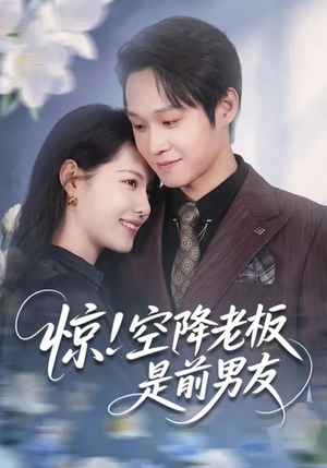 惊！空降老板是前男友（65集）追风的女孩短剧