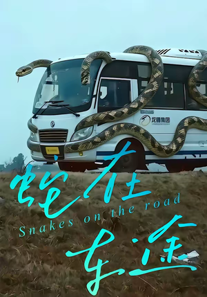 蛇在车途（34集）全季一次看完