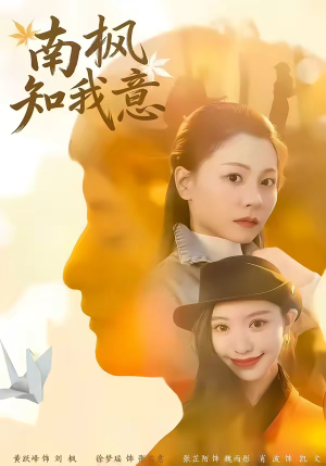 南枫知我意（41集）零花钱看整部剧