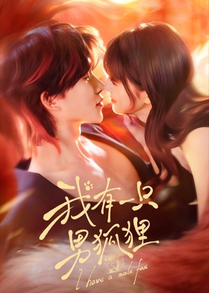 我有一只男狐狸（48集）哪个网站可以看