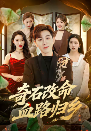 奇石改命血路归乡（81集）短剧片段分享