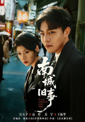 南城旧事（80集）最新上映的短剧