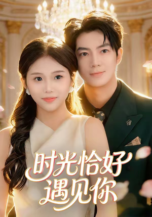 时光恰好遇见你（80集）热门短剧大全