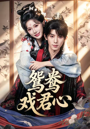 鸳鸯戏君心（60集）短剧免费看