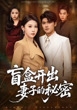 盲盒开出妻子的秘密（40集）短剧视频分享