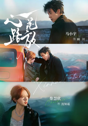 心花路放（60集）看到了大结局