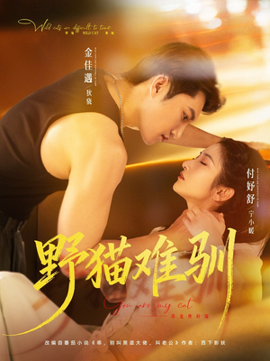 野猫难驯（73集）原创精彩短剧