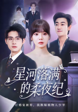 星河落满的柔夜纪（88集）爱短剧爱追剧