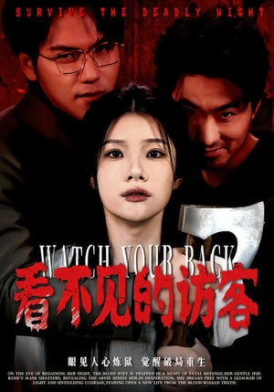 看不见的访客（62集）小短剧推荐