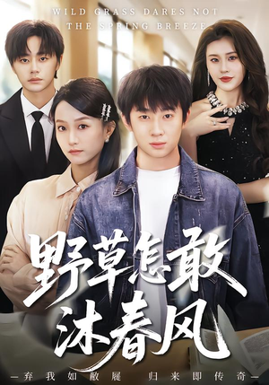 野草怎敢沐春风（61集）免费看全网短剧
