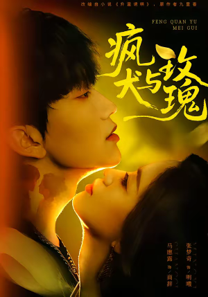 疯犬与玫瑰（80集）短剧追到爽