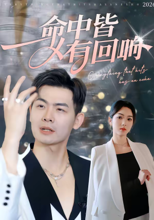 命中皆有回响（62集）在哪看免费