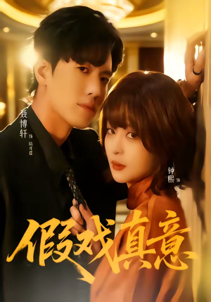 假戏真意（72集）口碑之选免费看