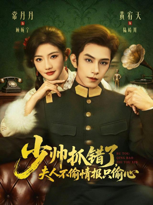 少帅抓错了，夫人不偷情报只偷心（66集）百度在线观看