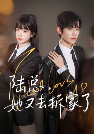 陆总，她又去拆家了（80集）短剧精彩绝伦