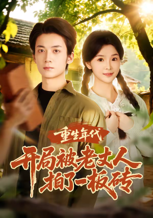 重生年代开局被老丈人拍了一板砖（82集）口碑之选免费看