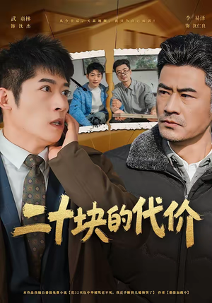 二十块的代价（64集）网盘在线观看