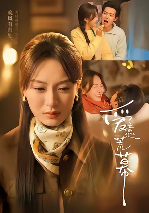 爱意荒幕（70集）第三季