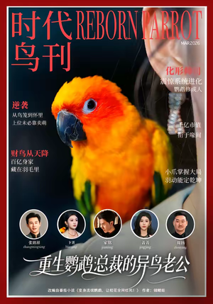 重生鹦鹉：总裁的异鸟老公（80集）好看上头短剧