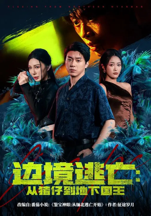 边境逃亡：从猪仔到地下国王（81集）短剧在线更新