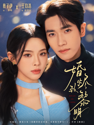 婚烬致黎明（77集）短剧在线看