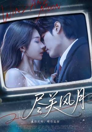 尽关风月（67集）热门火爆短剧
