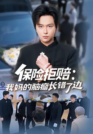 保险拒赔：我妈的脑瘤长错了边（52集）UC网盘在线看