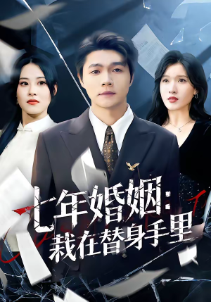 七年婚姻：栽在替身手里（80集）免费在线看全集