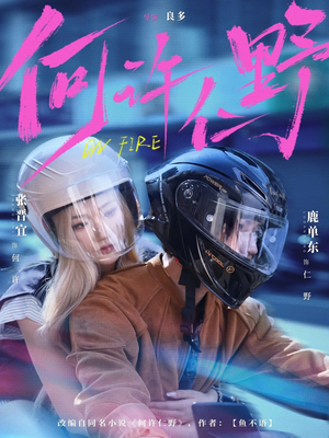 何许仁野（60集）演的怎么样