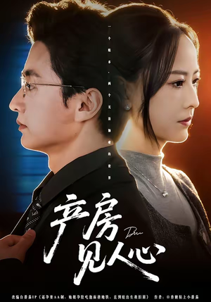 产房见人心（98集）番茄短剧看全集