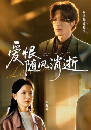爱恨随风消逝（60集）在线免费观看