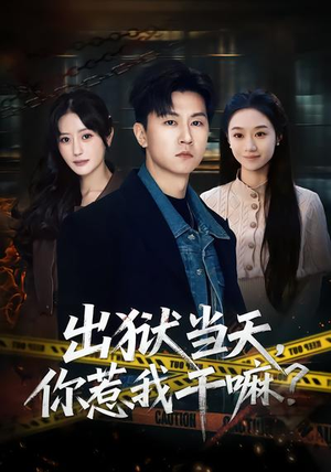 出狱当天，你惹我干嘛？（62集）免费在线看全集