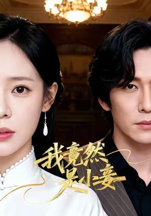 我竟然是小妾（47集）在线免费观看