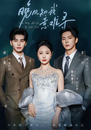 晚风知我意难寻（60集）热门短剧又来了