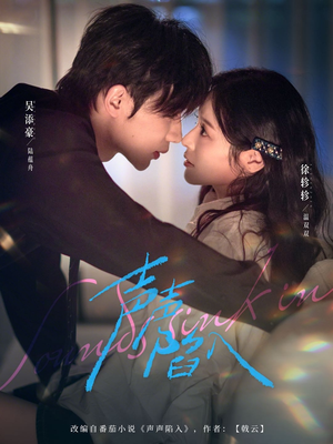 声声陷入（73集）在线观看