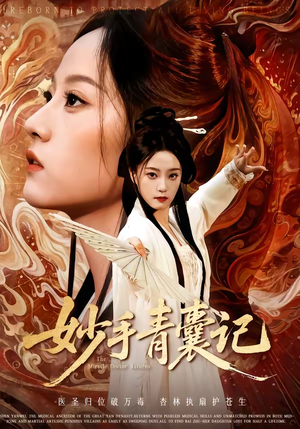 妙手青囊记（61集）精彩的网络短剧