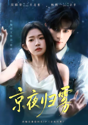京夜归雾（71集）全部免费看全集