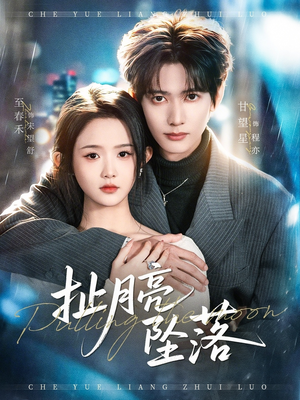 扯月亮坠落（81集）红果免费看短剧