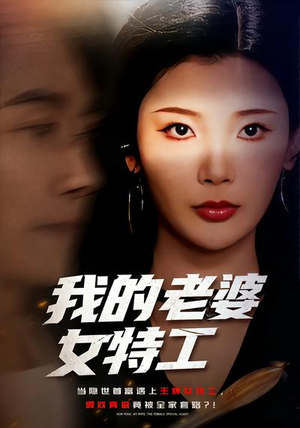 我的老婆女特工（62集）哪个短剧网能看